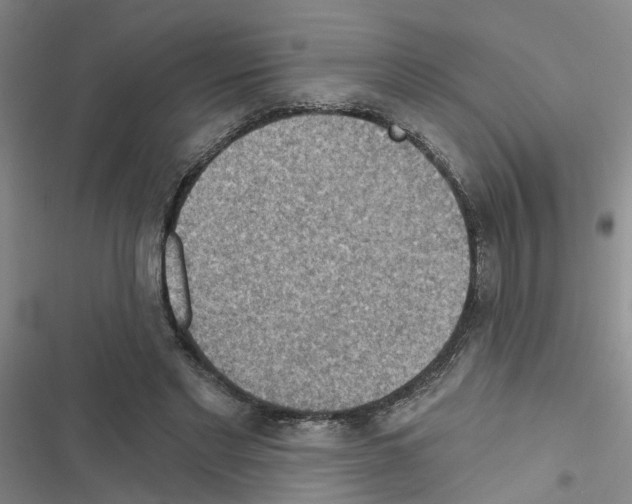 X0000116550493201001211205