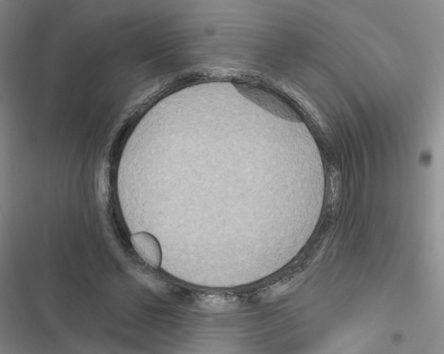 X0000116550494201001211205