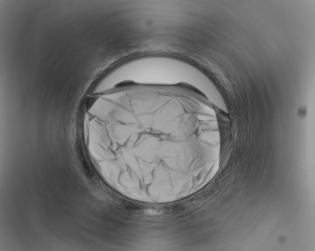 X0000116550496201001211205