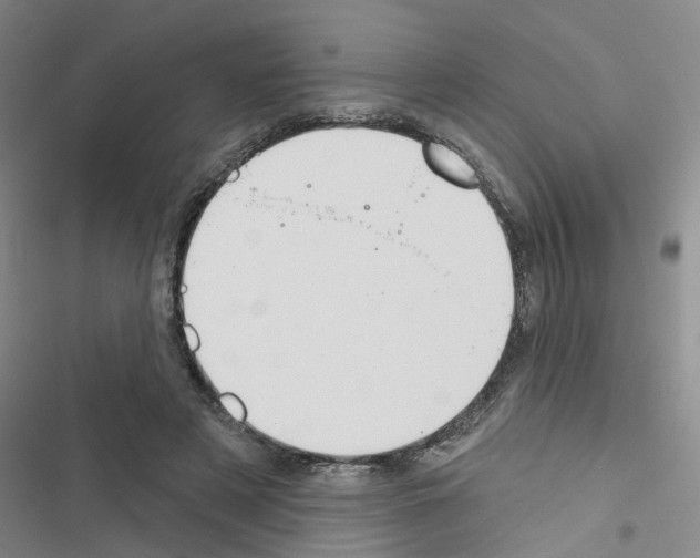 X0000116550497201001211205