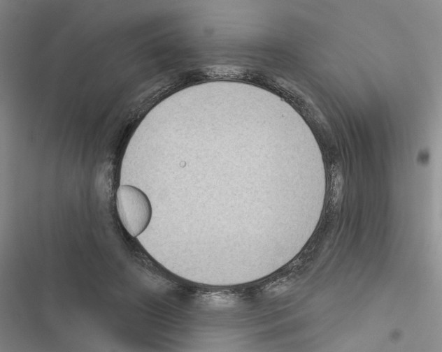 X0000116550498201001211205