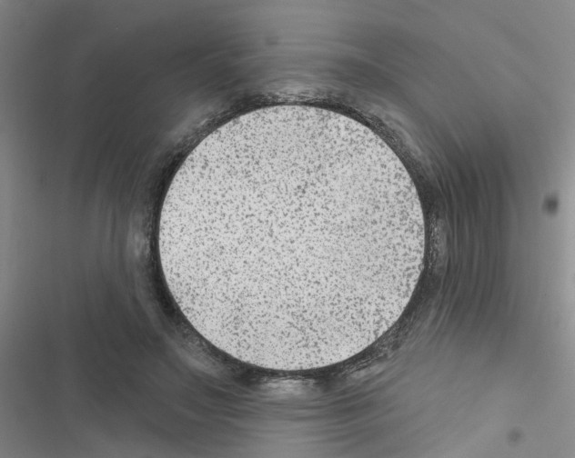 X0000116550499201001211205