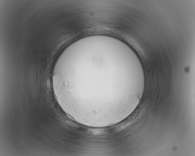 X0000116550501201001211205