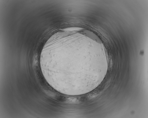 X0000116550502201001211204