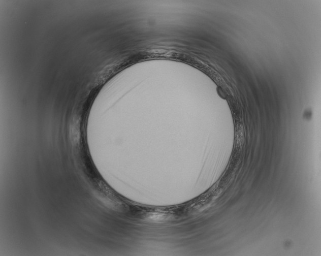 X0000116550504201001211204