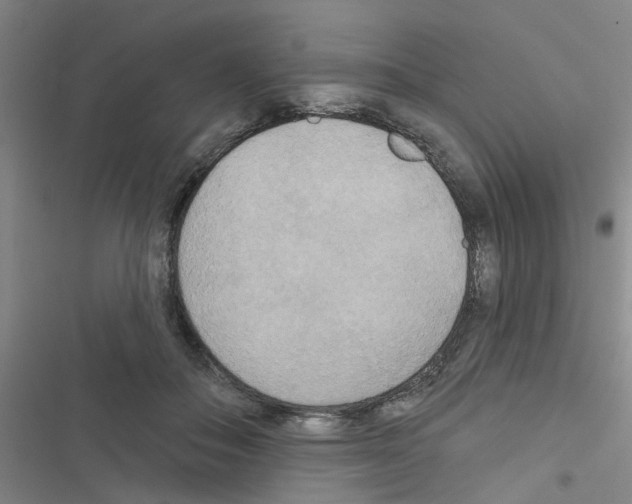 X0000116550506201001211204