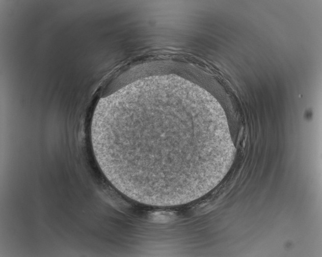 X0000116550508201001211204