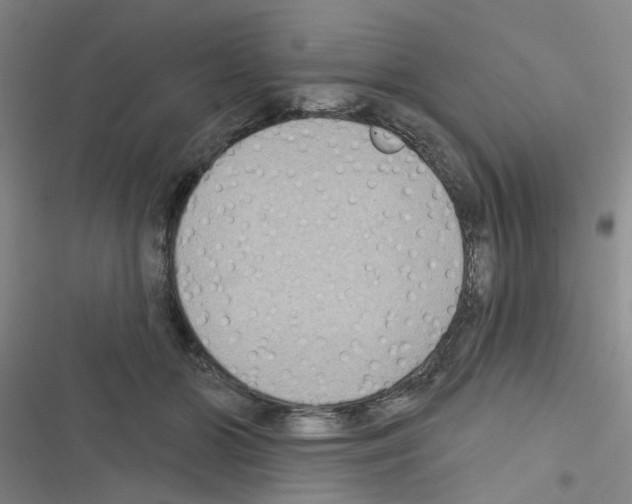 X0000116550510201001211204