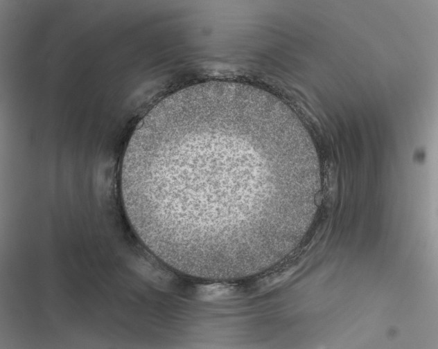 X0000116550511201001211204