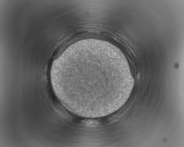 X0000116550512201001211204