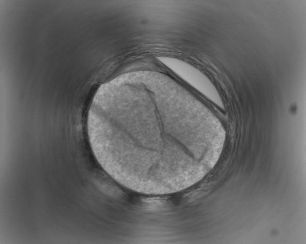 X0000116550516201001211204