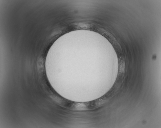 X0000116550518201001211204