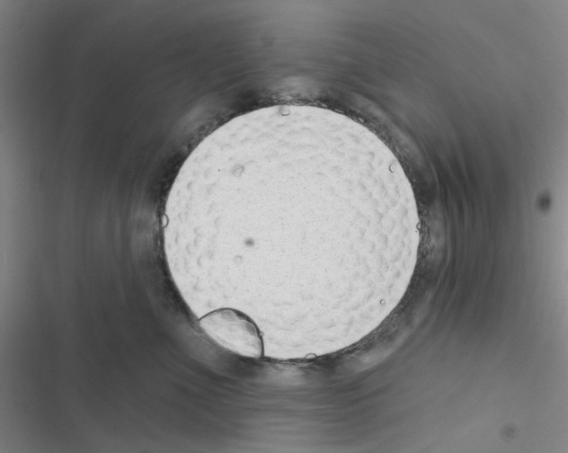 X0000116550523201001211204