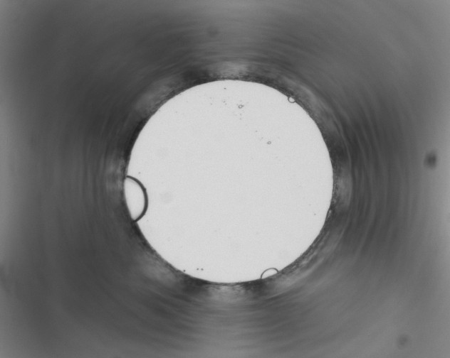 X0000116550525201001211204