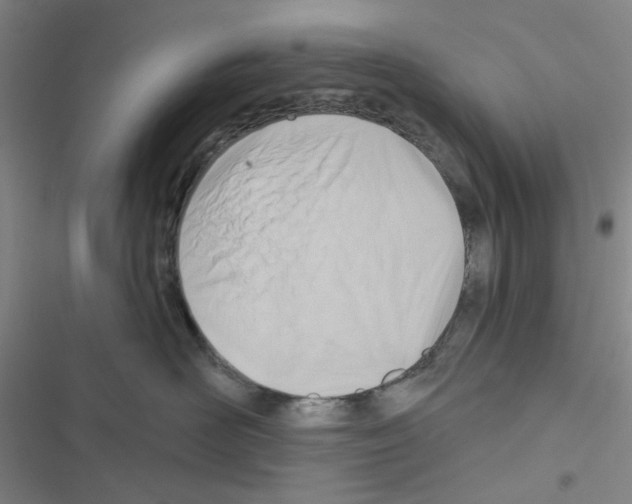 X0000116550526201001211204