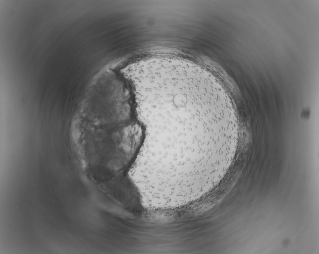 X0000116550533201001211204