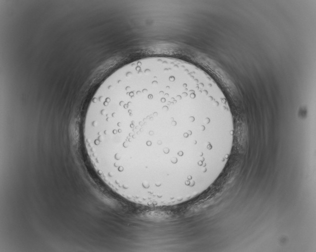 X0000116550537201001211204