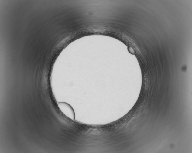 X0000116550538201001211204