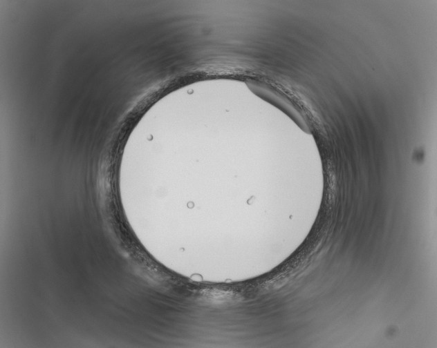 X0000116550539201001211204