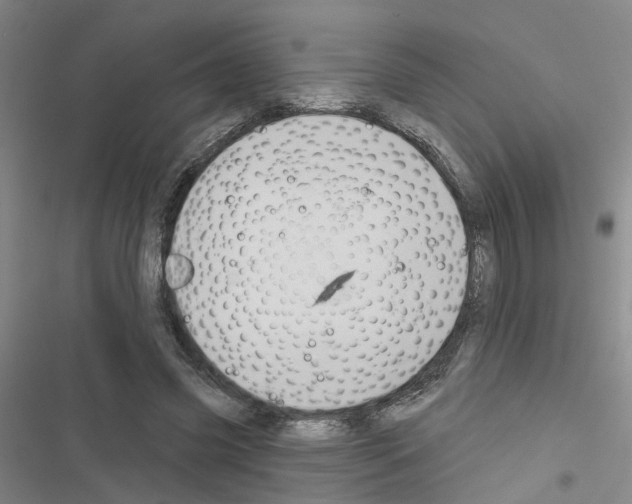 X0000116550541201001211204