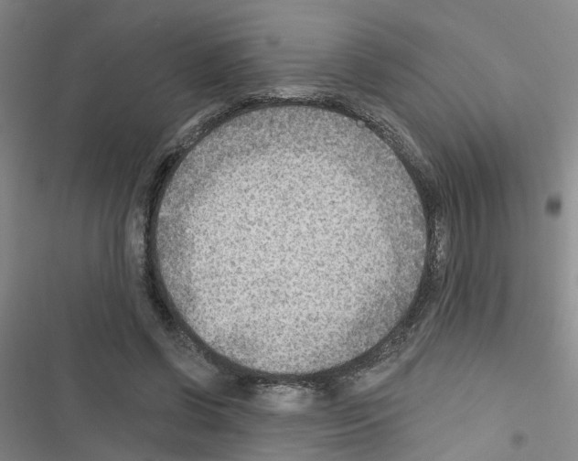 X0000116550542201001211204