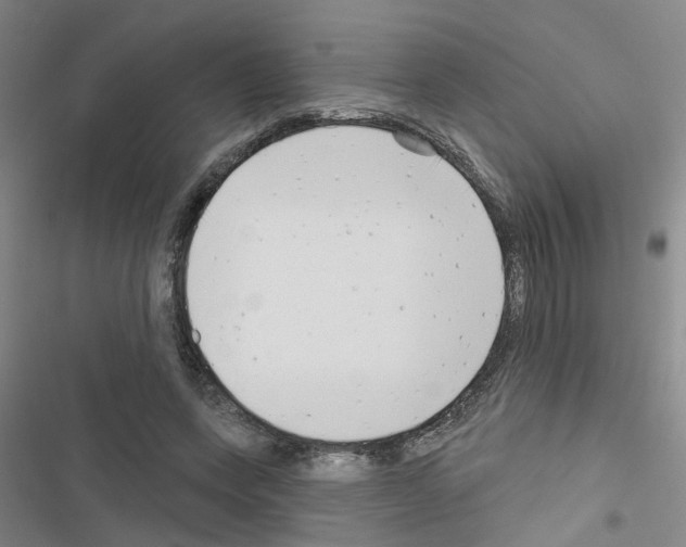 X0000116550543201001211204