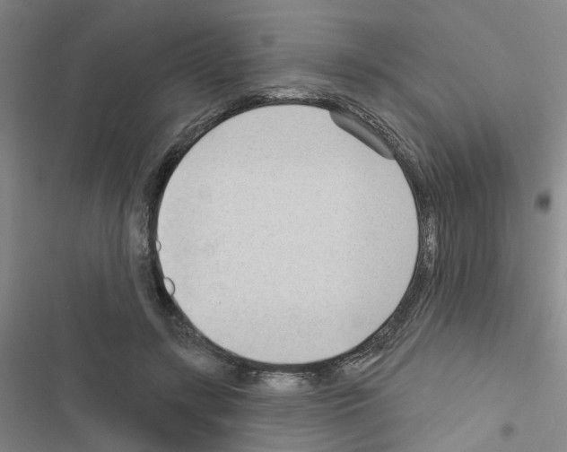 X0000116550547201001211204