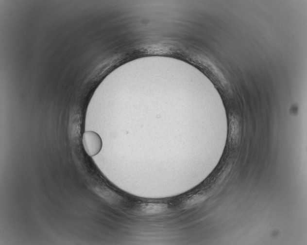 X0000116550549201001211204