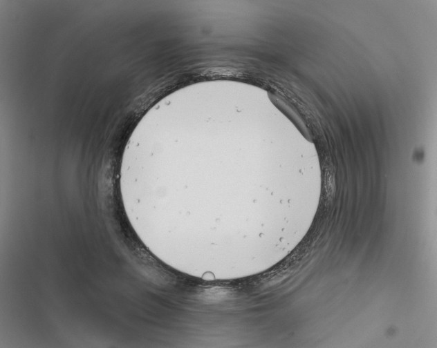 X0000116550551201001211204