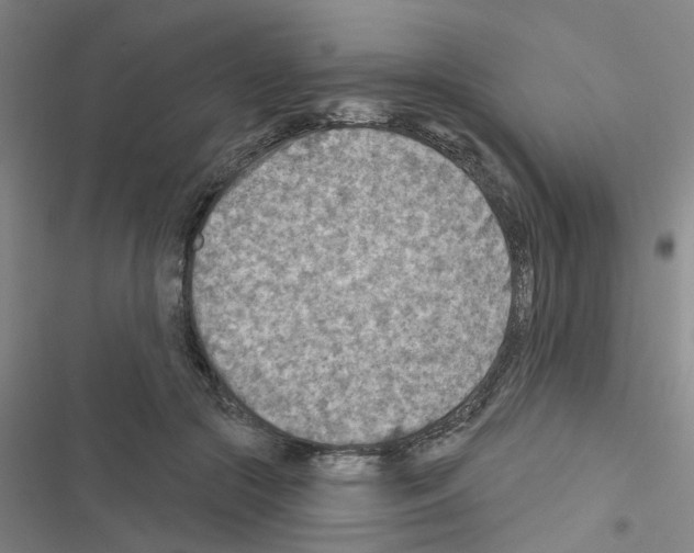 X0000116550553201001211204