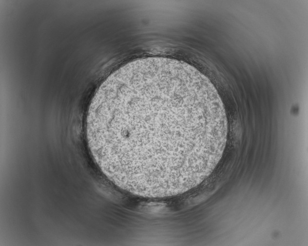 X0000116550554201001211204