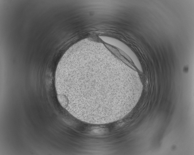 X0000116550555201001211204