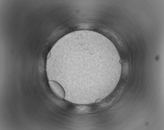 X0000116550557201001211204