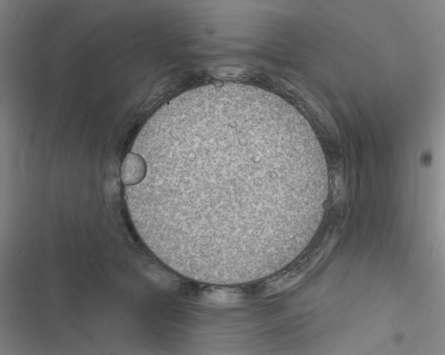 X0000116550561201001211204