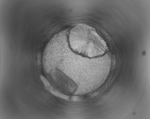 X0000116550565201001211204