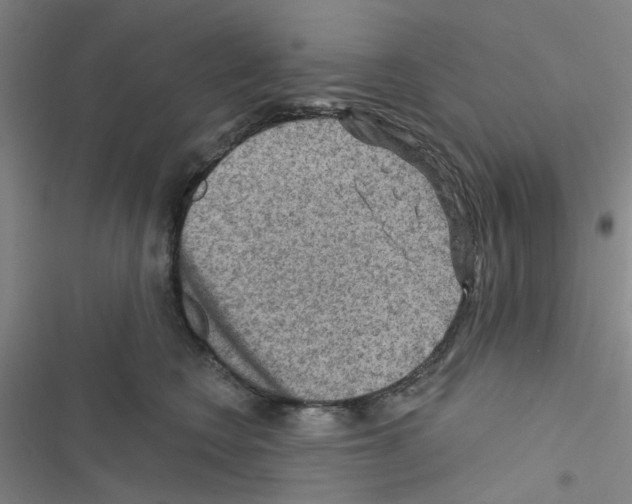 X0000116550566201001211204