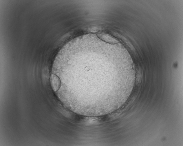 X0000116550569201001211204