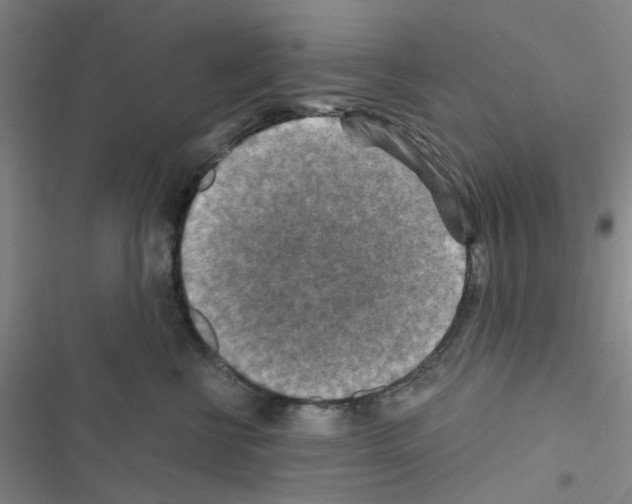 X0000116550570201001211204