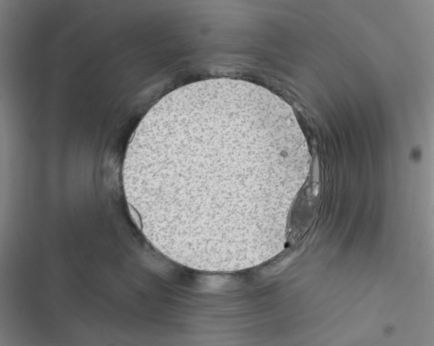 X0000116550575201001211204