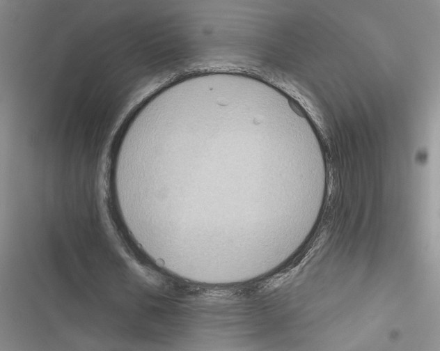 X0000116550578201001211203