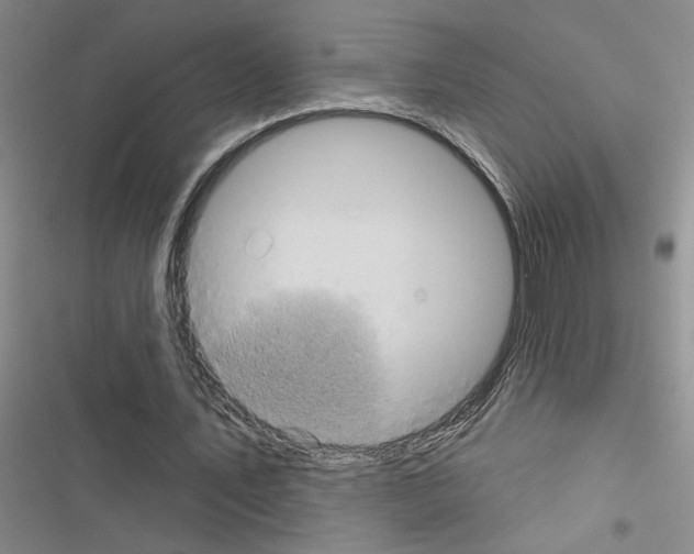 X0000116550579201001211203