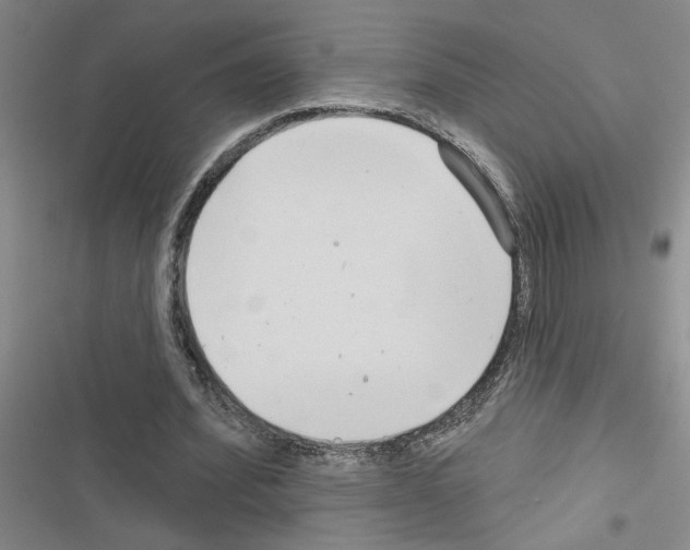 X0000116550580201001211203