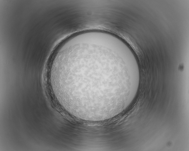 X0000116550583201001211203