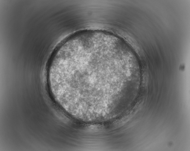 X0000116550584201001211203