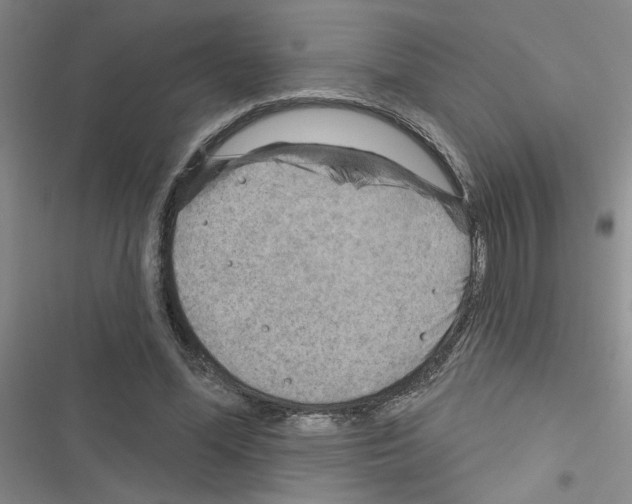 X0000116550588201001211203