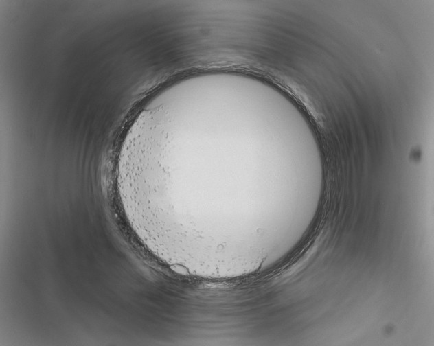 X0000116550589201001211203