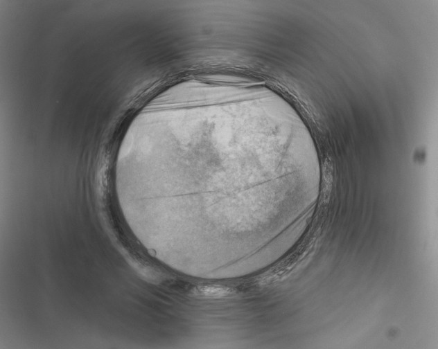 X0000116550590201001211203