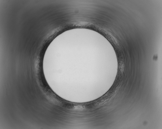 X0000116550591201001211203