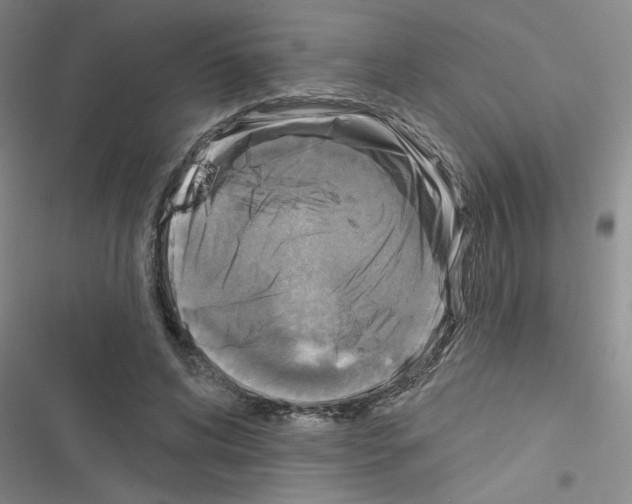 X0000116550592201001211203