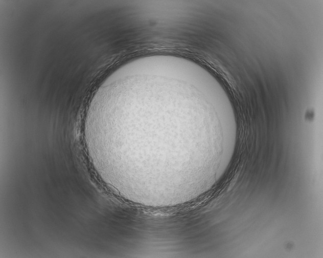 X0000116550593201001211203